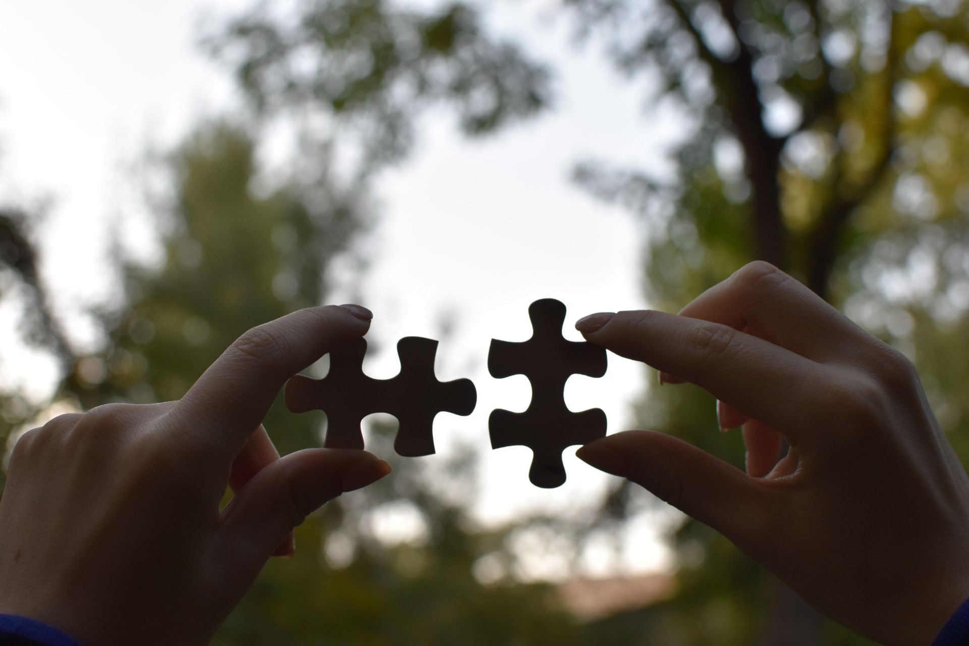 Technology Partnership is like a jigsaw puzzle